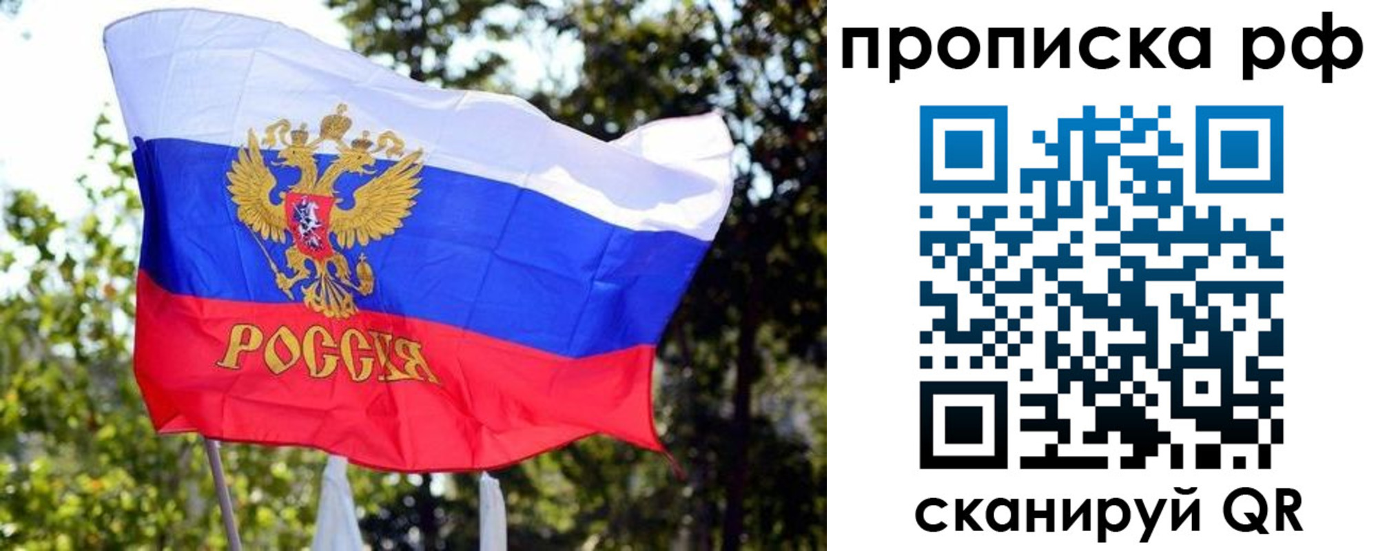 временная регистрация надежно в Мурино